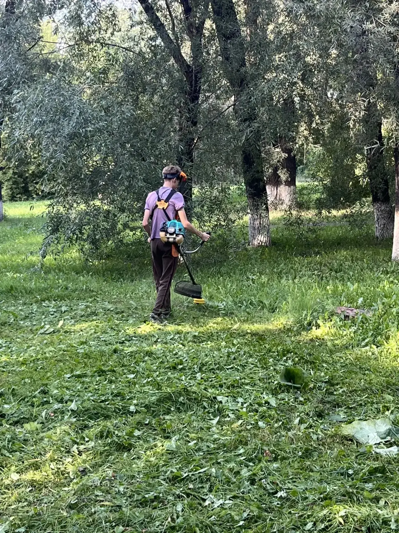 Лето подходит к концу, и наша территория немного заросла, пока мы были в лагере. Но наш...