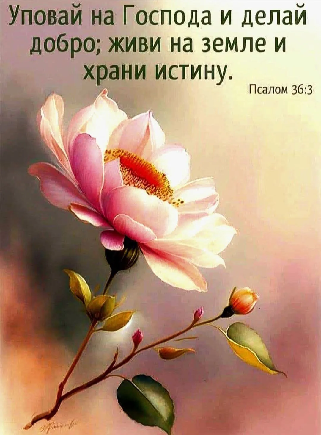 Православные открытки