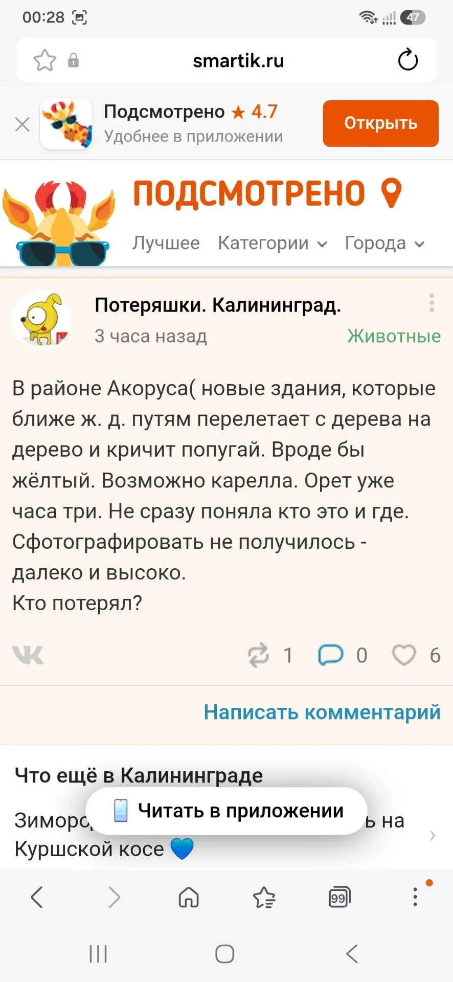 Медиа публикации