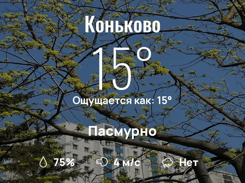 Что с погодой в Коньково?