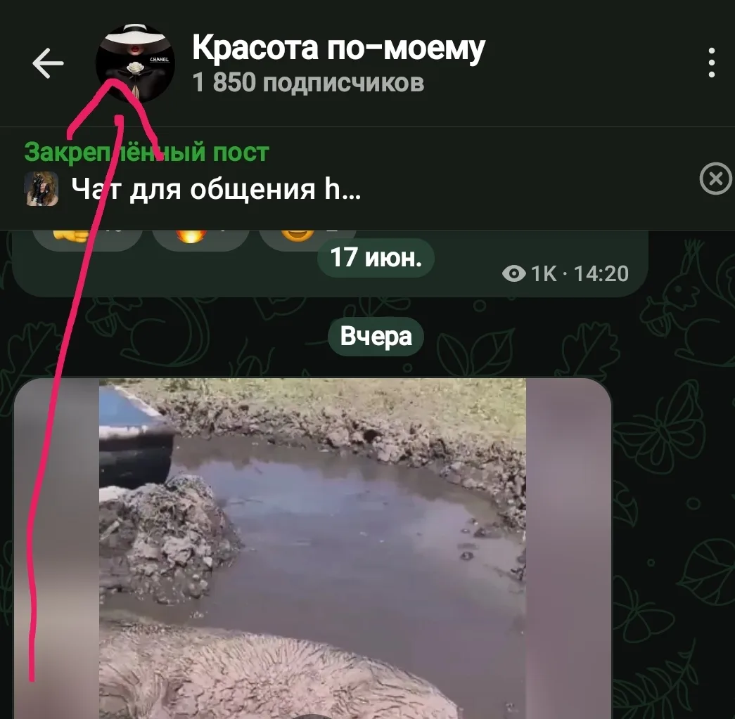 📌Учимся искать нужную информацию♥️♥️♥️
1. Жмём на аватар
2. Спускаемся в раздел вложения и жмём 
3.