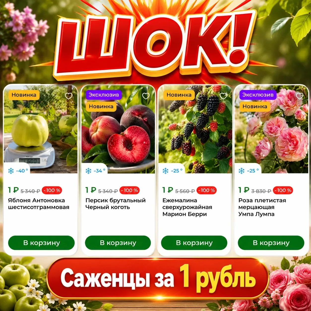 ШОК!