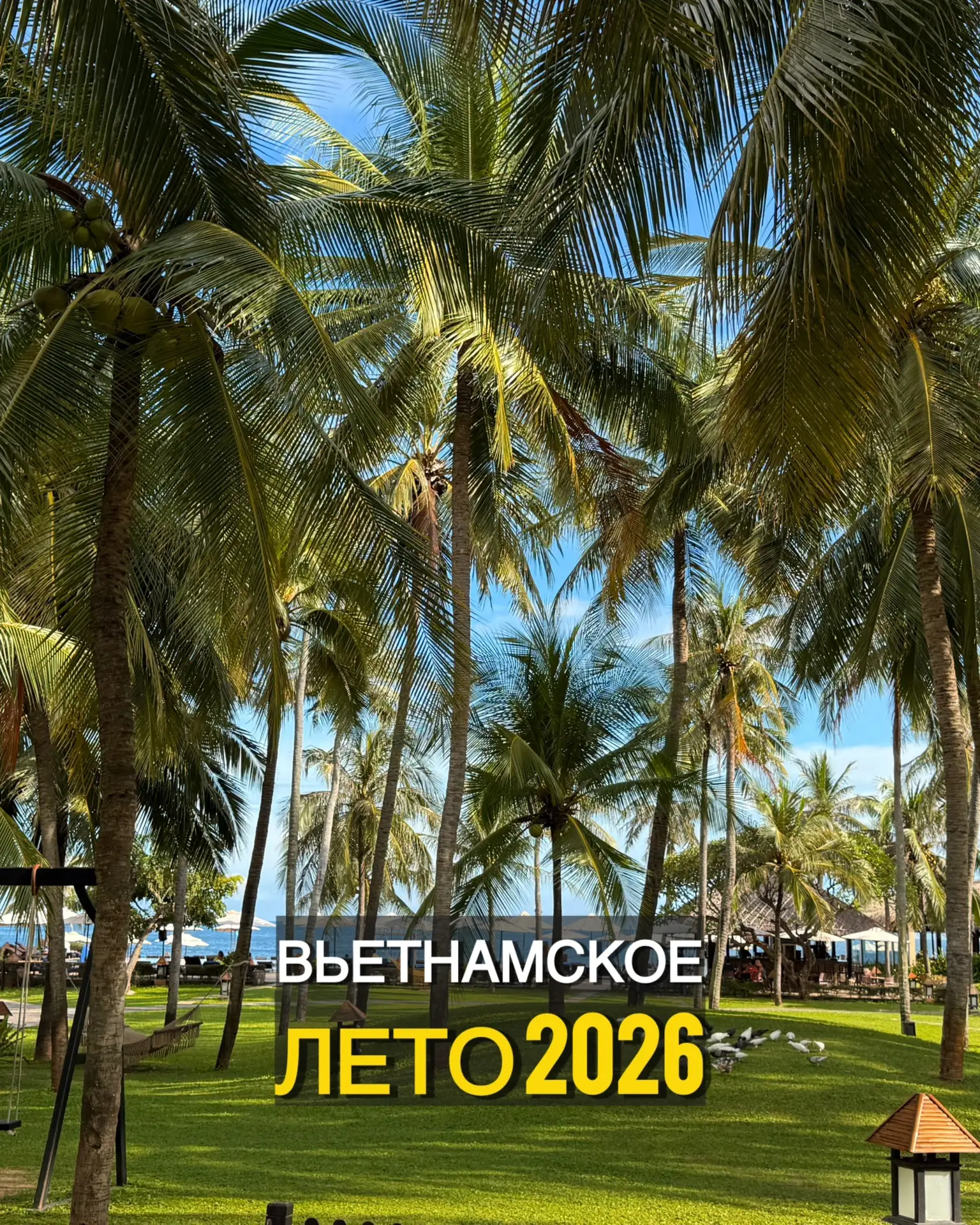☀️ *ВЬЕТНАМСКОЕ ЛЕТО 2026*