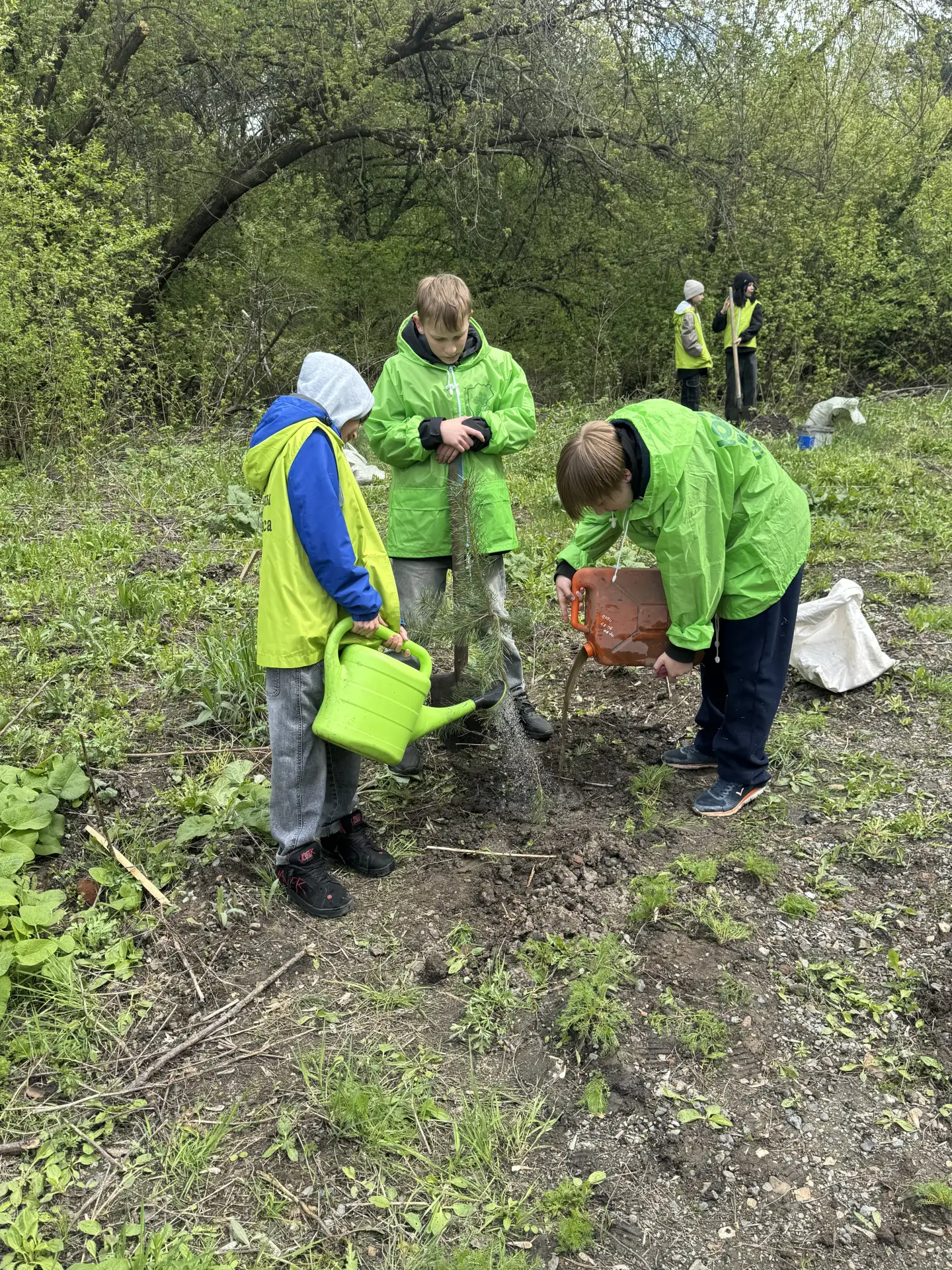 По всей стране проходит акция «Сад Памяти», Кузбасс — не исключение.   🌱Коллектив и юные натуралисты