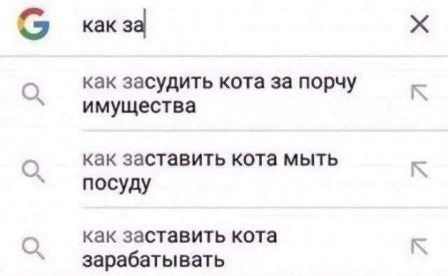 Если бы коты только знали...