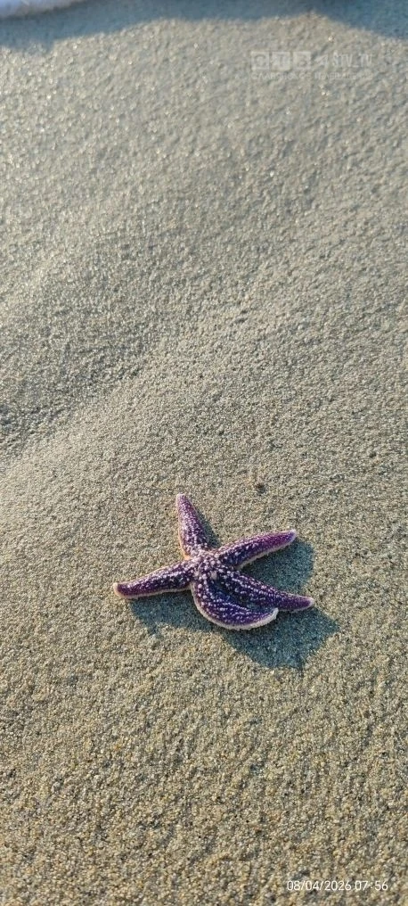 ✨🌞Доброе утро, друзья!   🌊Апрельское море врывается в нашу ленту.  Шум прибоя, звуки весны, утренний