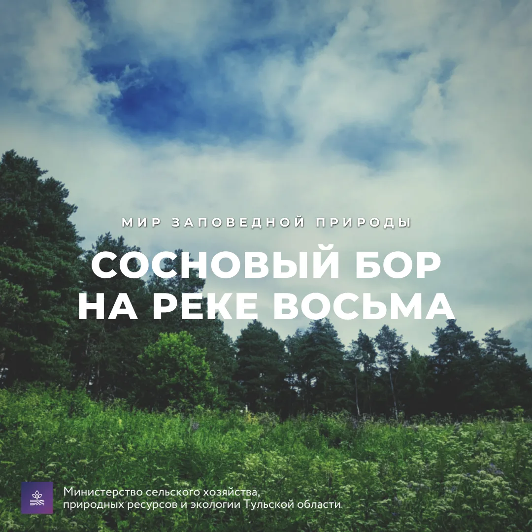 #Красотародногокрая