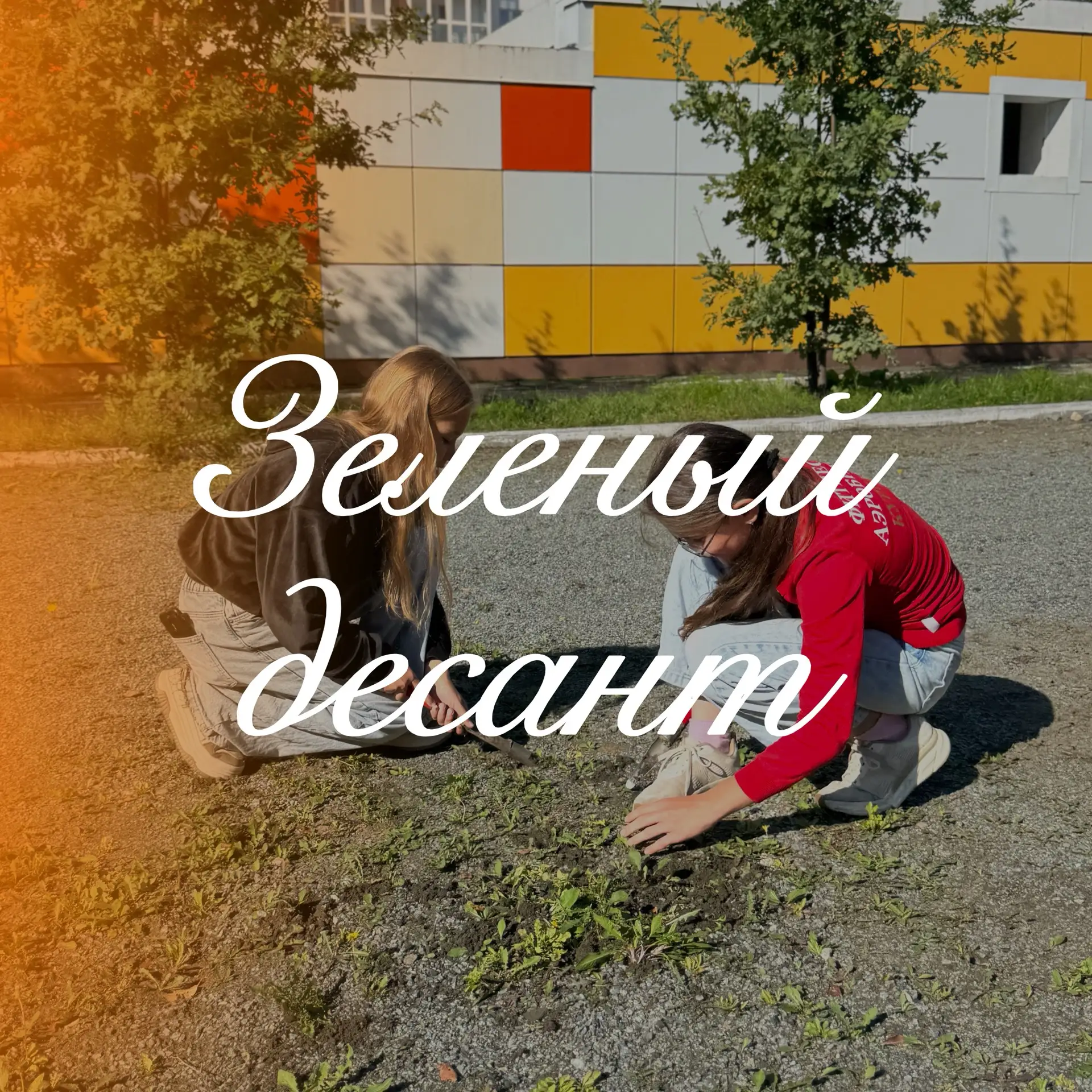 // Зелёный десант 🌱🌳🌺