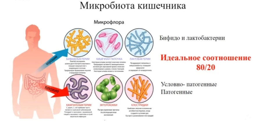 клетчатку🍐