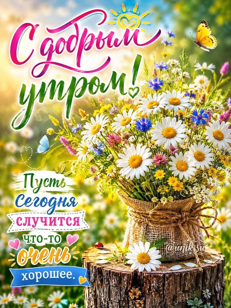 ЛУЧШИЕ ОТКРЫТКИ🙏