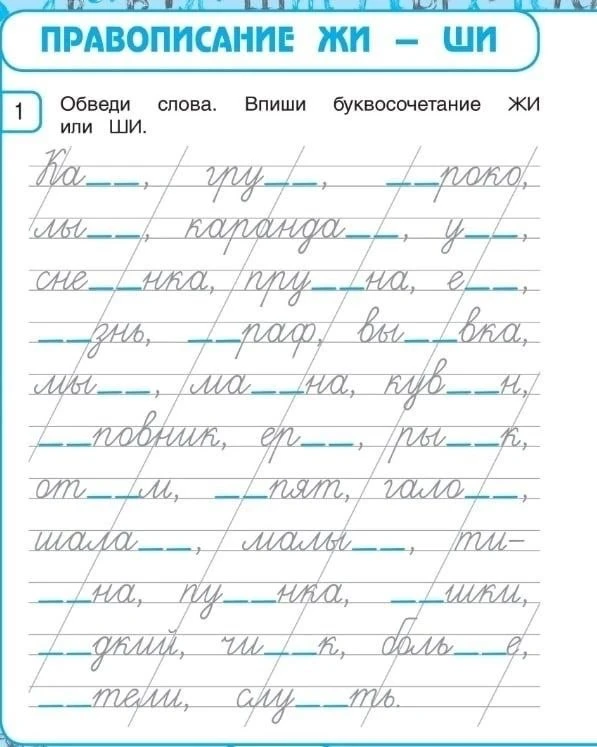 Изображение 5 к публикации «Русский язык на отлично. Начальная школа. ВПР, ОГЭ, ЕГЭ»