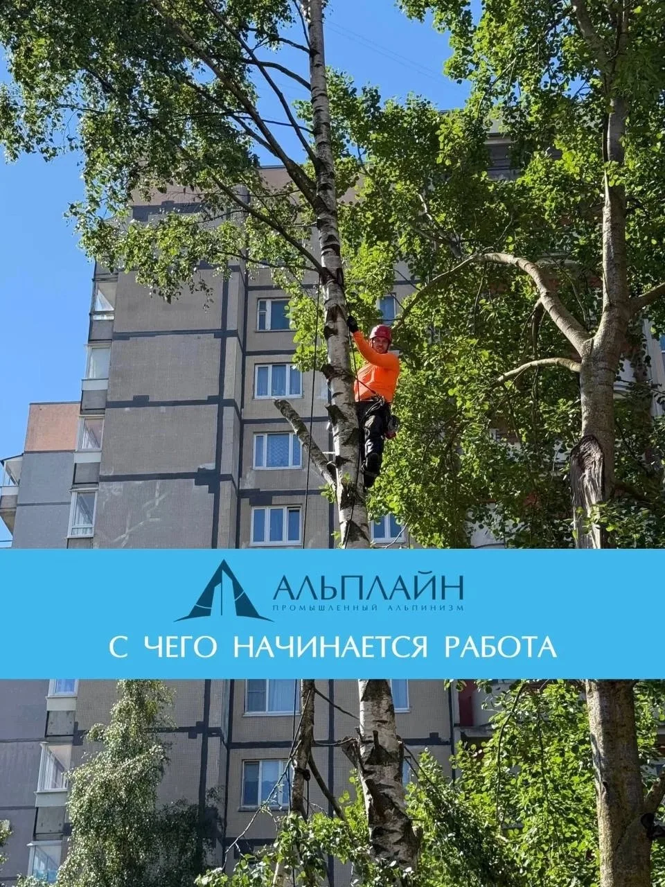 С чего начинается работа «Альплайн»