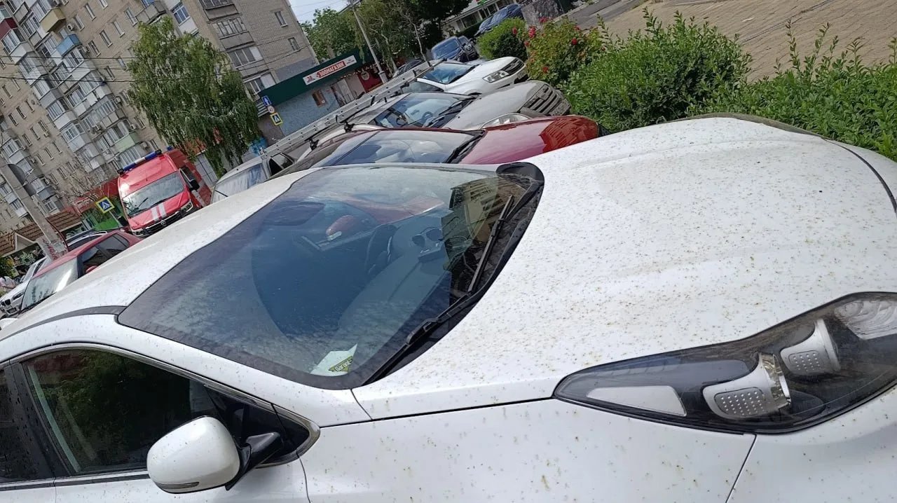 🛢💦 💧 Кто еще на своих авто обнаружил те самые капли и пятна?