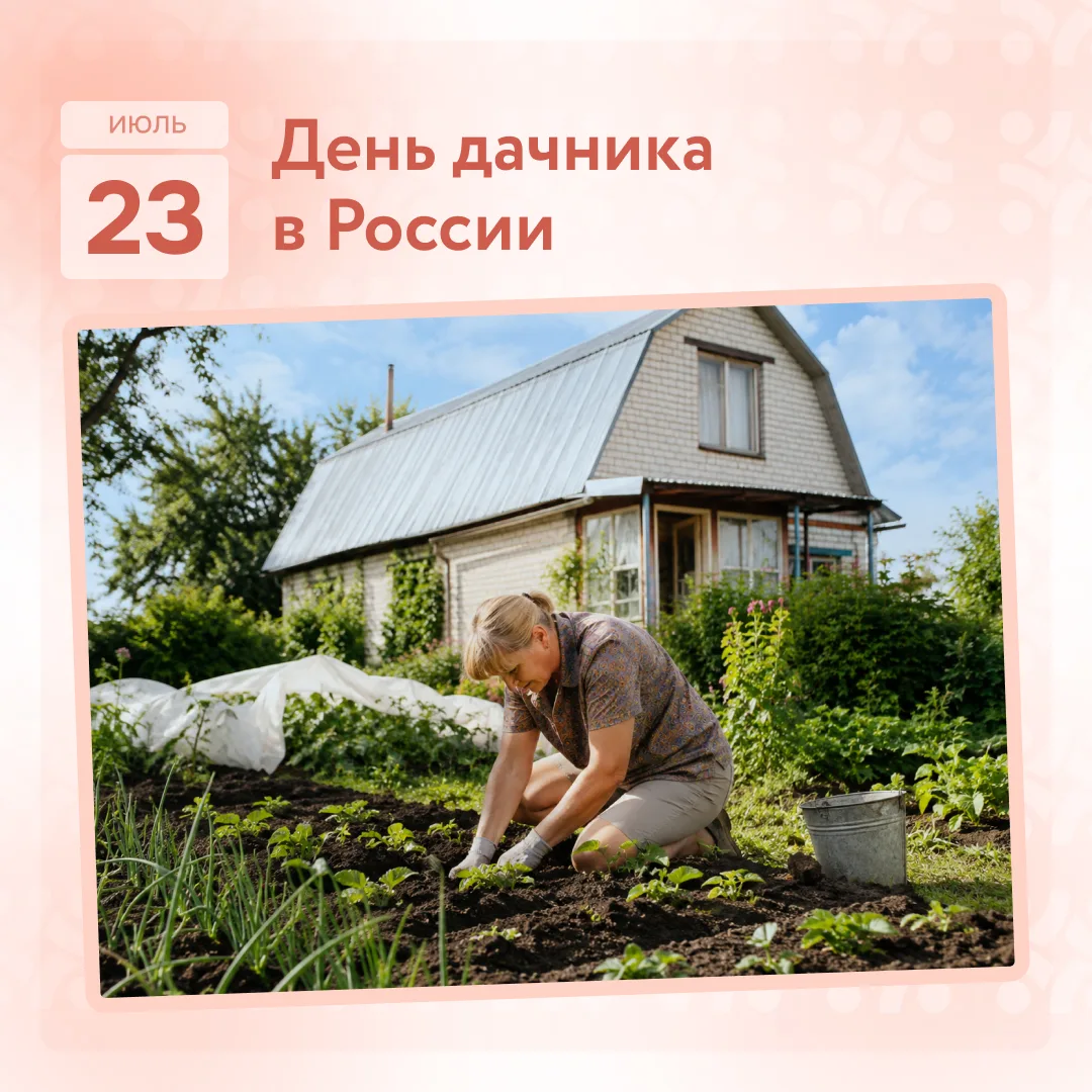 Один кабачок за неделю может сменить до восьми хозяев

Эту шутку, скорее всего, придумали дачники. С
