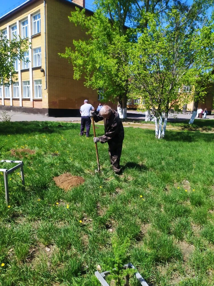 Активисты Движения Первых МБОУ СОШ 15 с гордостью приняли участие в акции "Сад Памяти". По всей Росс
