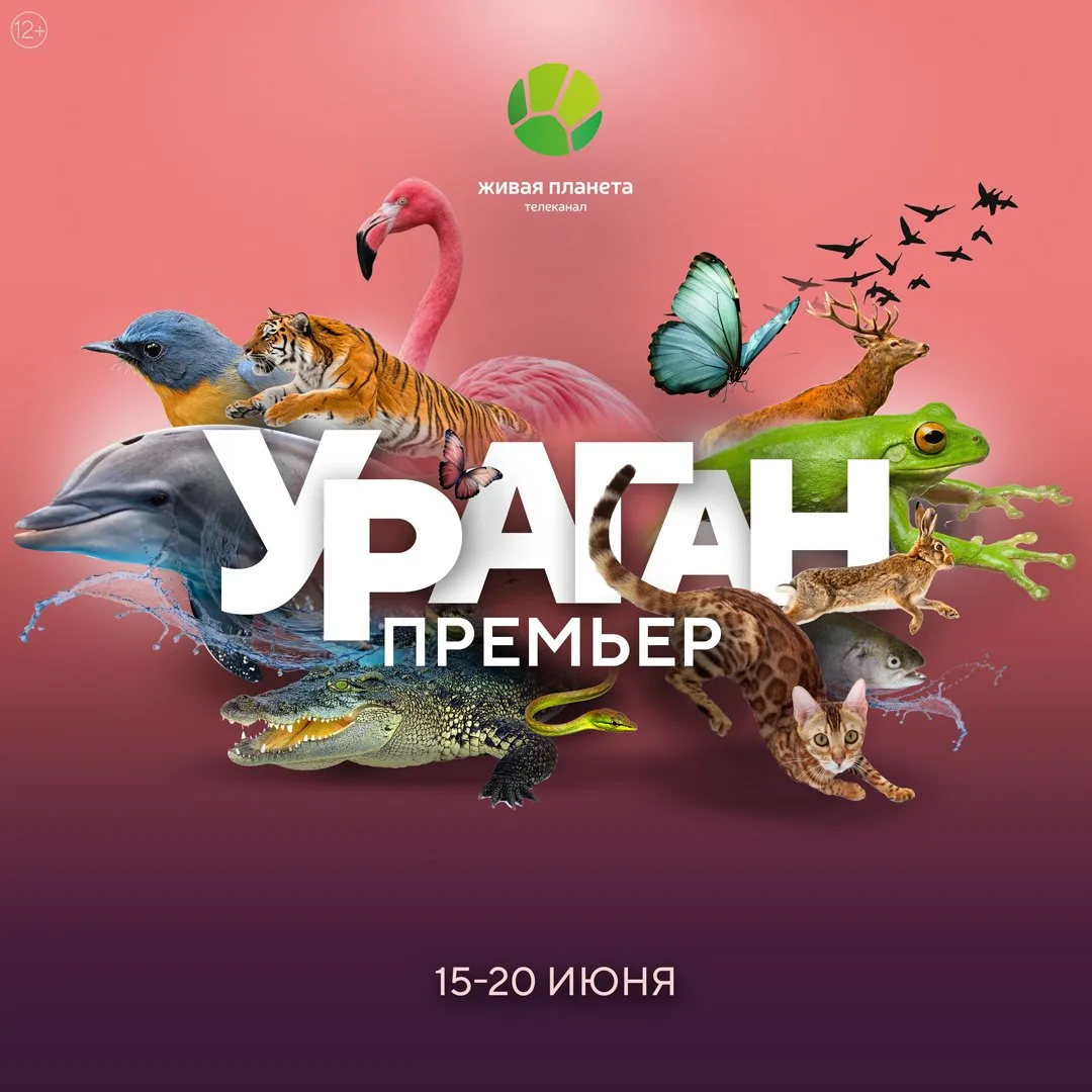 Ураган премьер на телеканале «Живая Планета»: неделя невероятных открытий

С 15 по 20 июня эфир теле