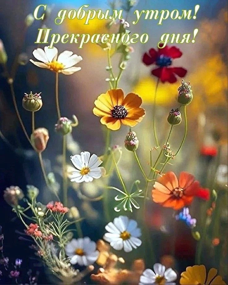 #доброеутро