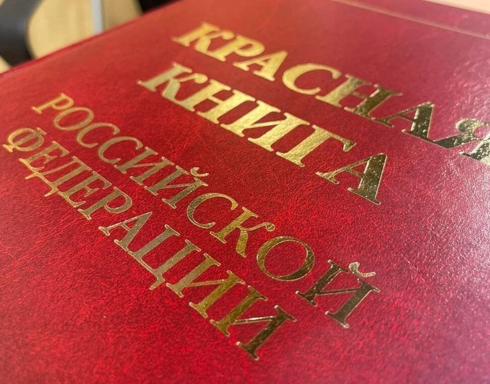 📕 В России создадут единую Красную книгу в электронном формате