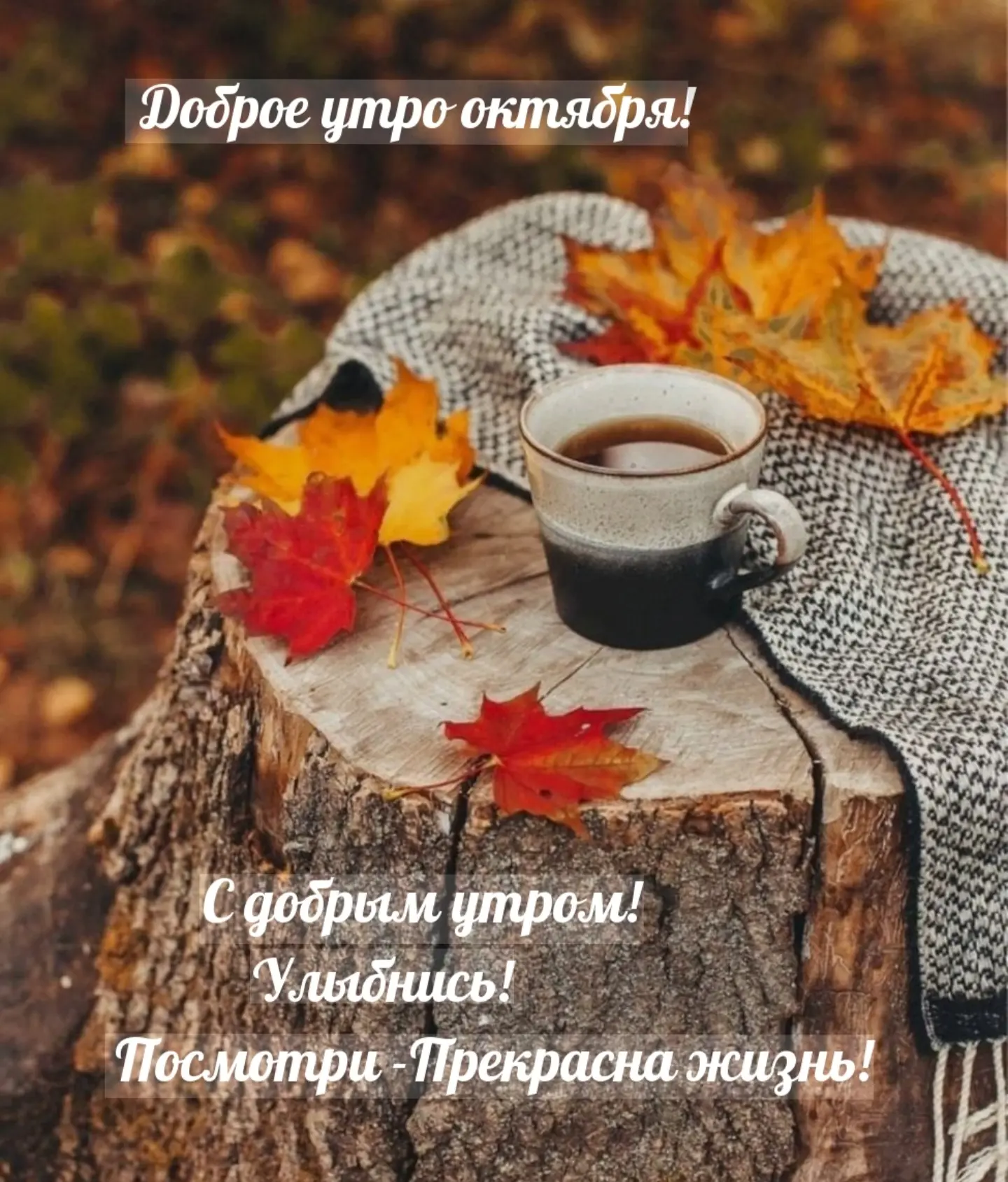 Доброе утро