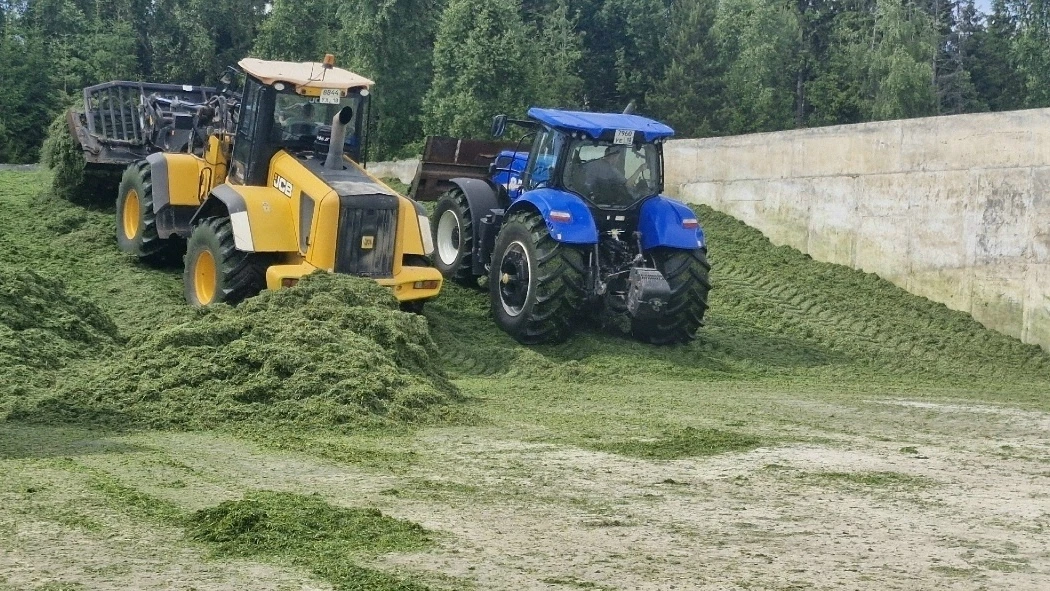 Что с заготовкой кормов? 🌾

Осадки приостановили кормозаготовку на полях района. 🌧️

А значит, у в