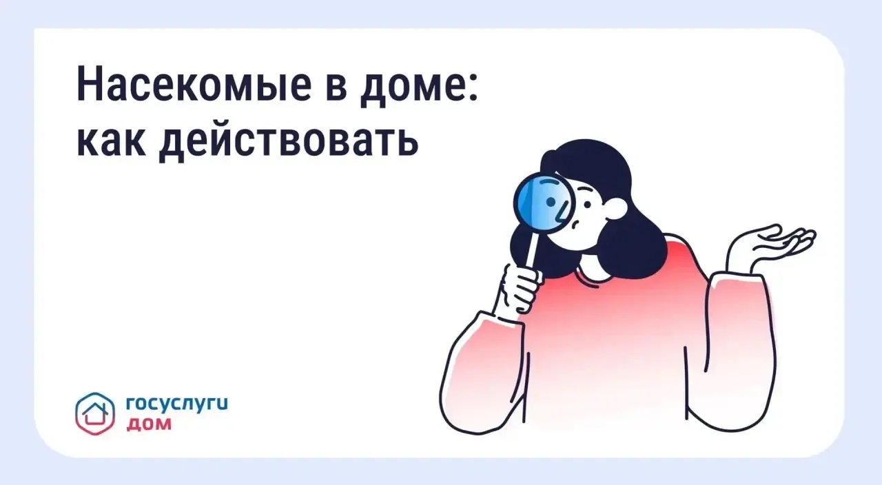 Не дайте насекомым испортить уют в вашем доме!

Тараканы, клопы, муравьи или мокрицы в подъезде или 