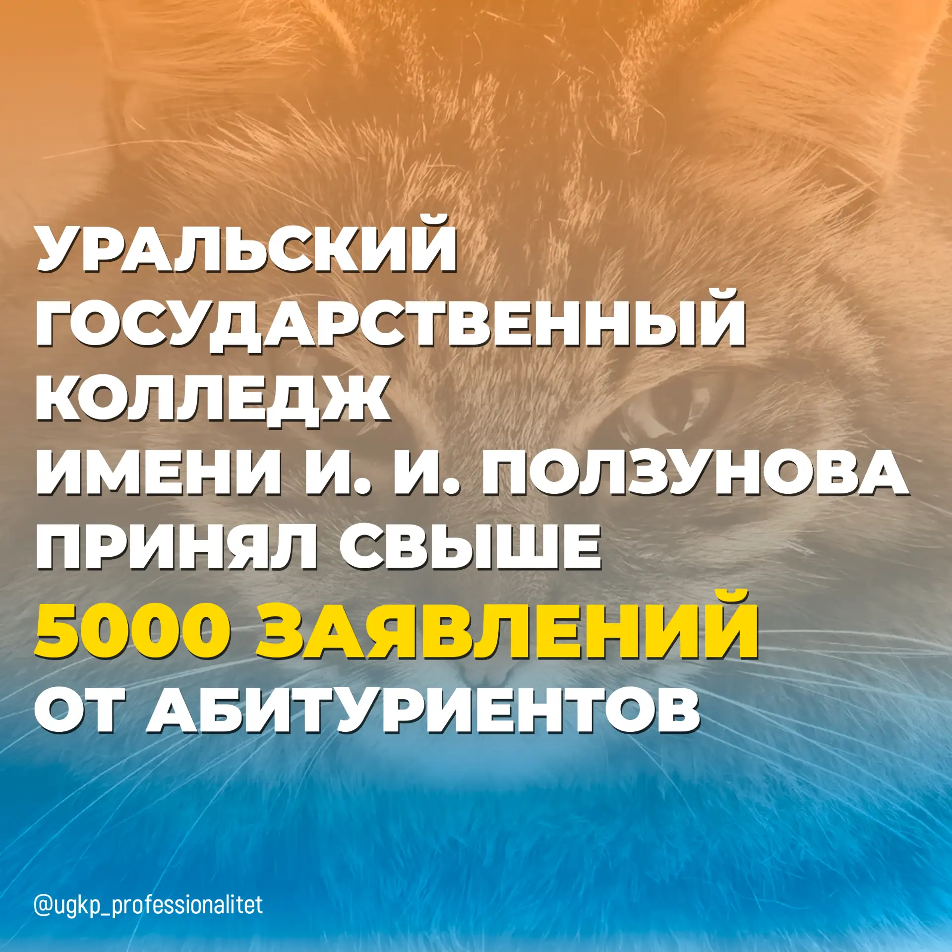 Уральский государственный колледж имени И. И. Ползунова на сегодняшний день принял свыш...