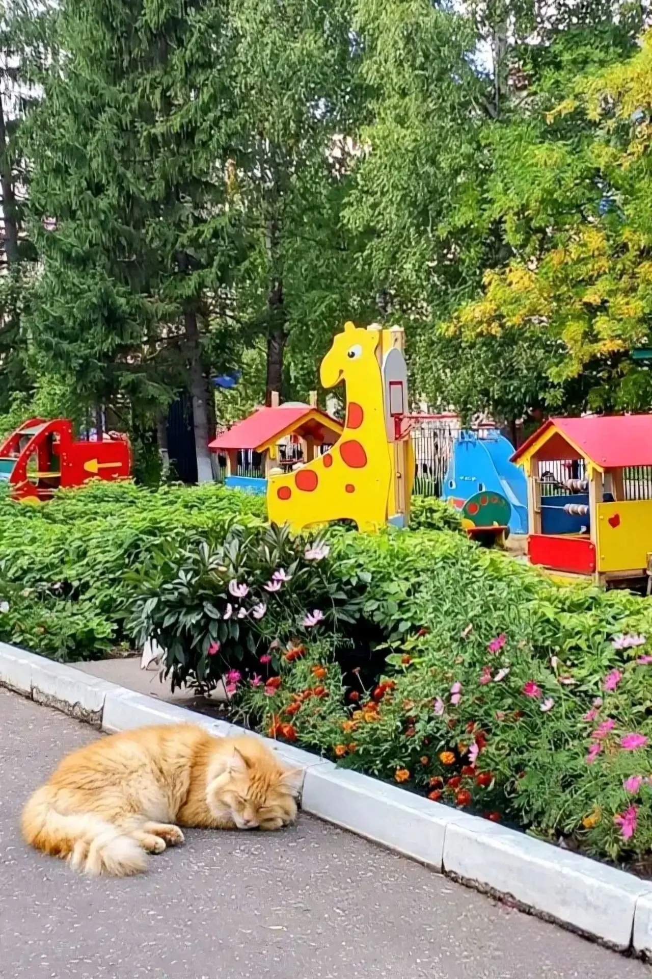 Доброе утро, Лениногорск!