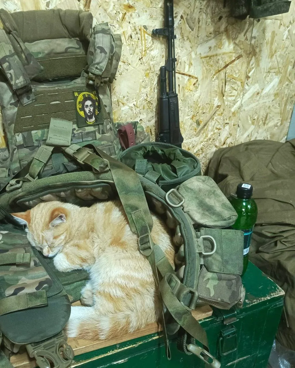 Доброй ночи 😴