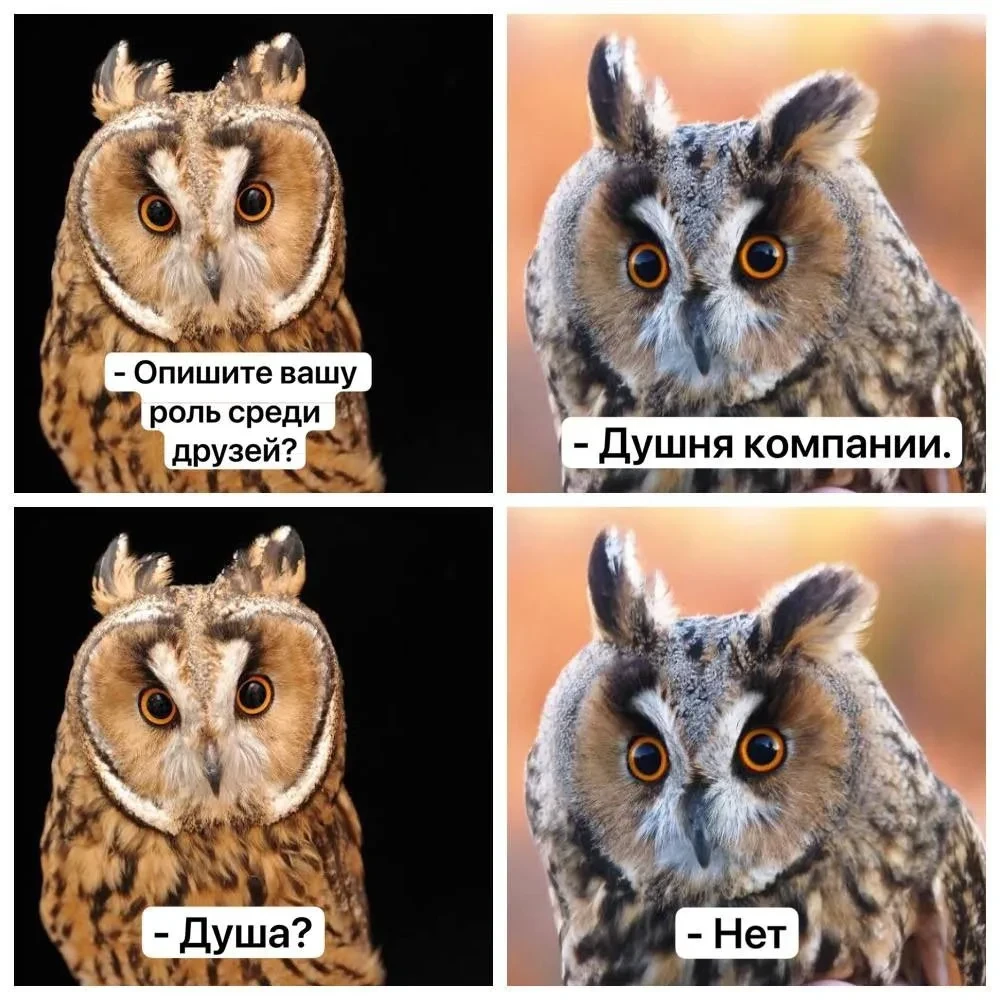 Доброго утречка 😁