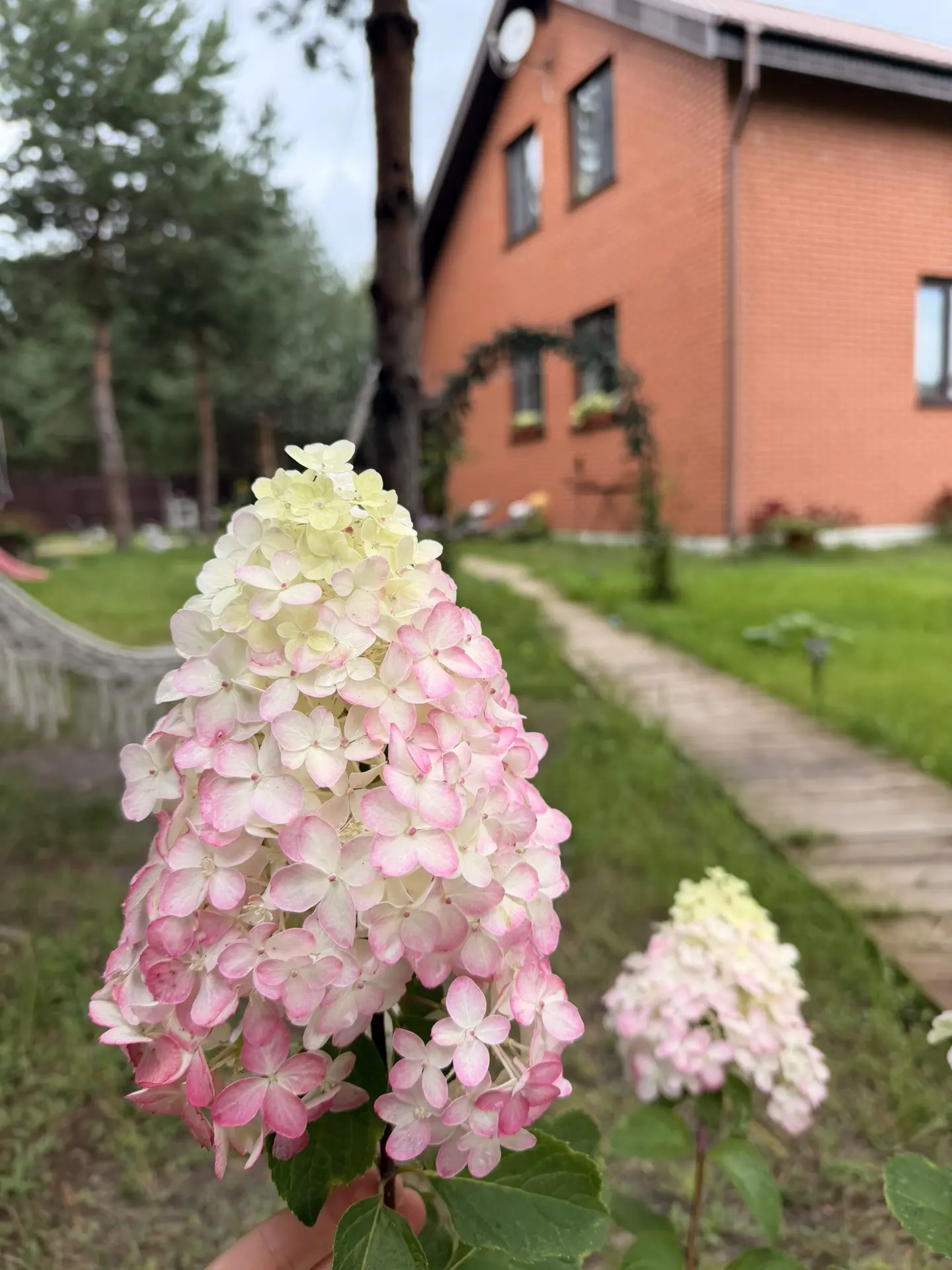 Всем привет ! 👋 банный день был у нас вчера . Гуляли у дома , я полола клубнику вечеро...