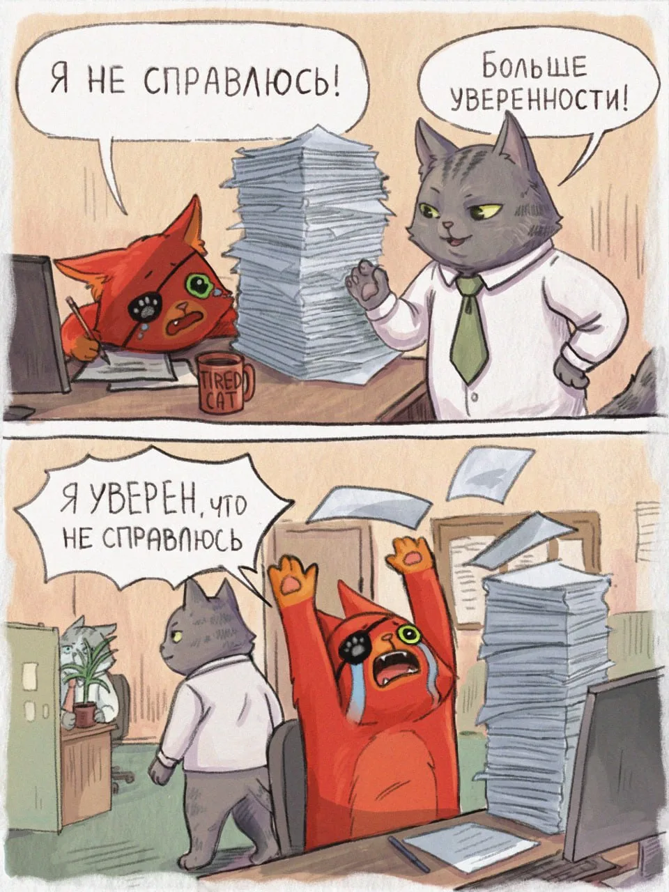 кот уверенности
___________________
Пеппер кот / Pepper сat
#пепперкот #peppercat