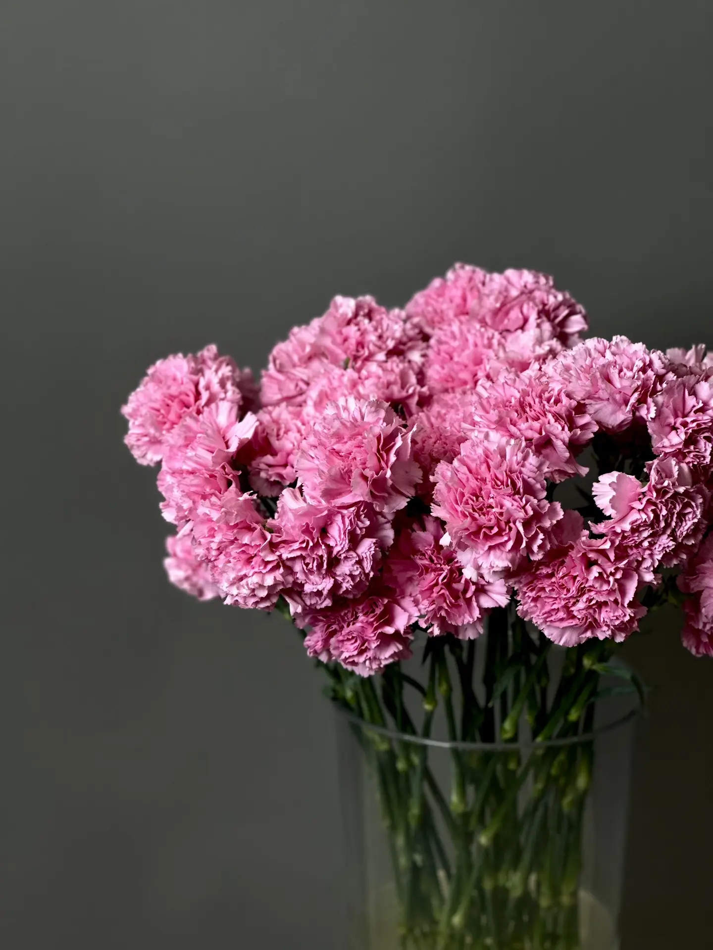 Ну как тут остановиться? 😍🌸

Диантусы — те самые цветы, которые покоряют с первого взгляда: воздуш