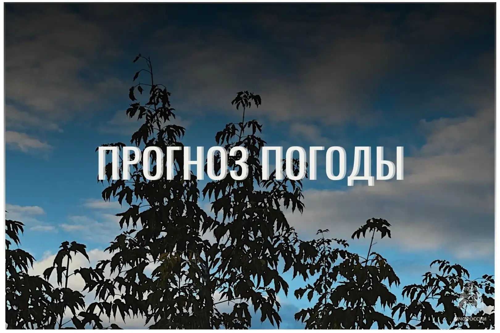 🟩⛅По данным ЦГМС, 8 октября в регионе прогнозируется переменная облачность.