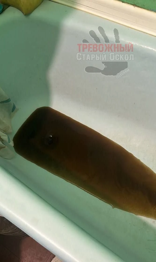 💧 Жители мкр Королева остались без воды