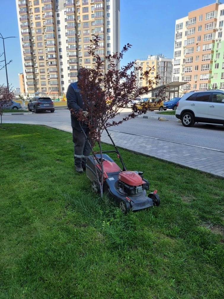 🌿 Работы в «Городе Мира» продолжаются!