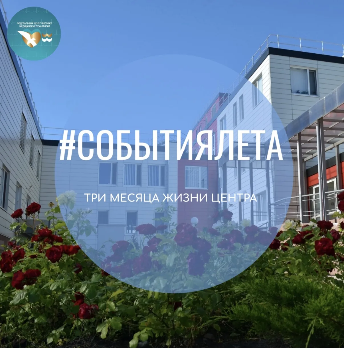 Три месяца жизни ФЦВМТ: обзор летних событий.