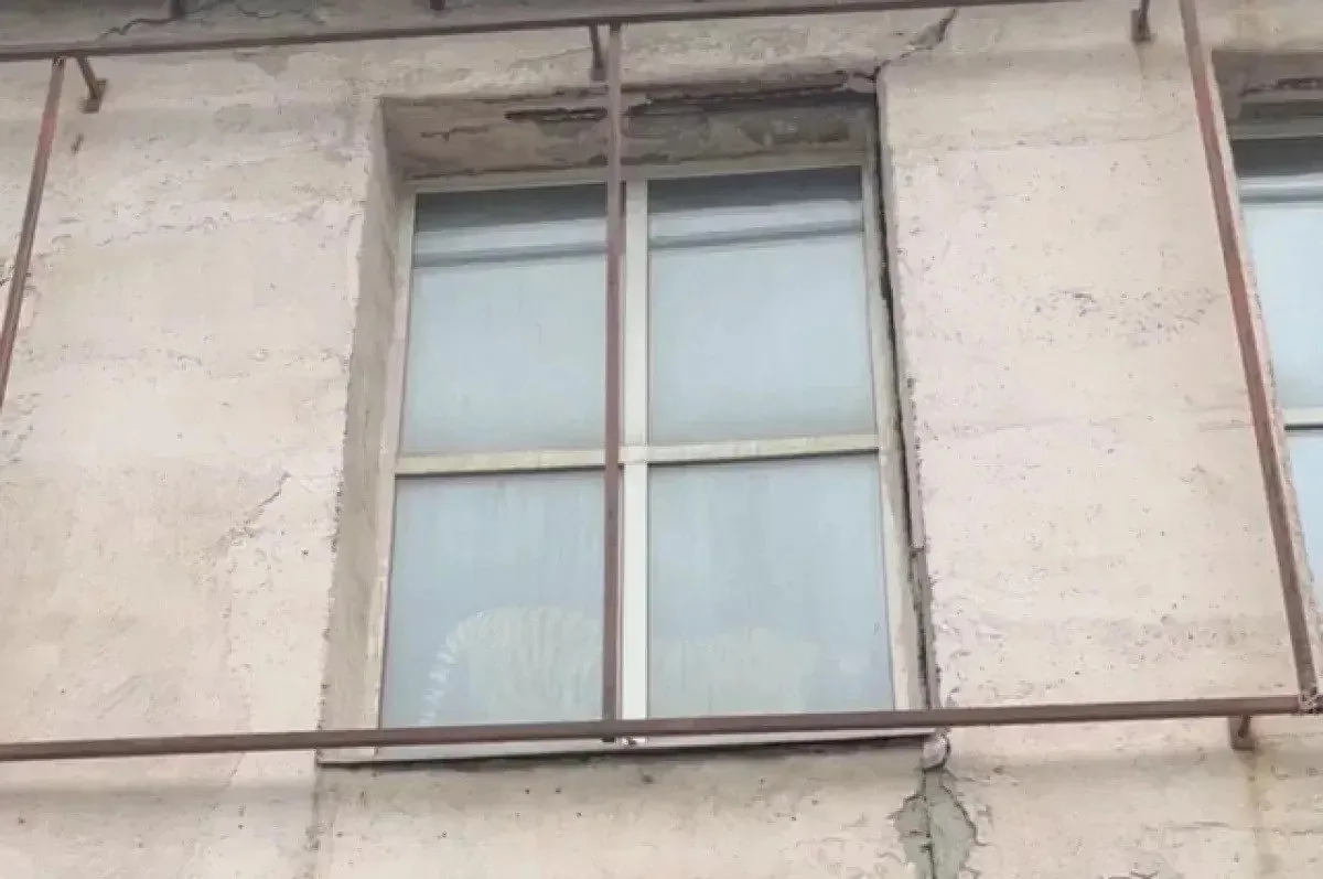 😱🐅 «Тигр на подоконнике»: в Перми в мебельном магазине заметили дикое животное