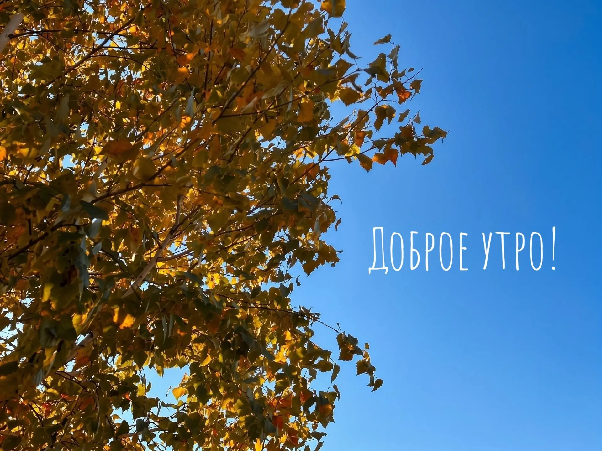 И снова с вами наше традиционное доброе утро понедельника☕