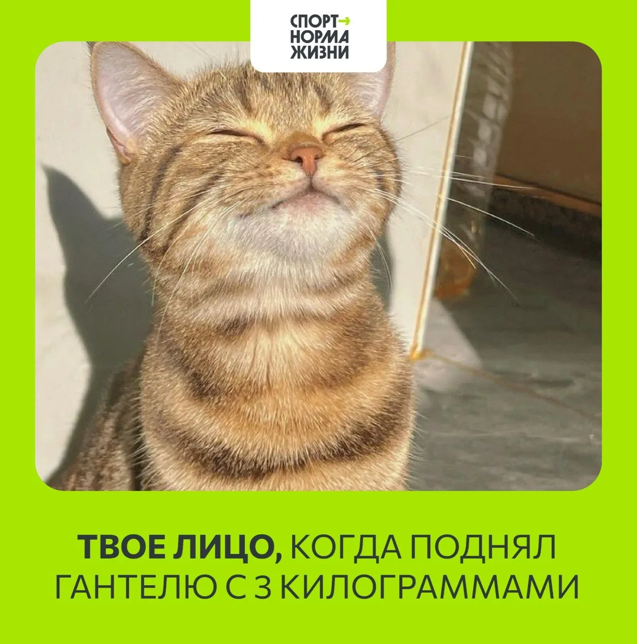 Неделя почти на финише — время выдохнуть, улыбнуться и вспомнить: даже самые серьёзные ...