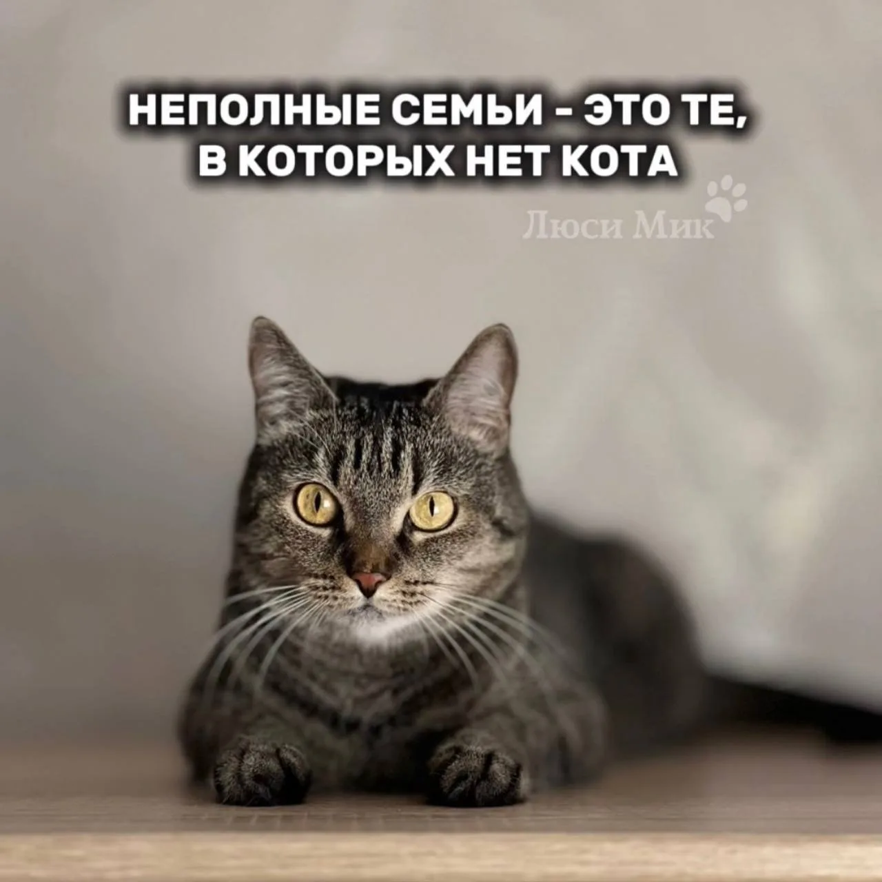 Согласен 😁