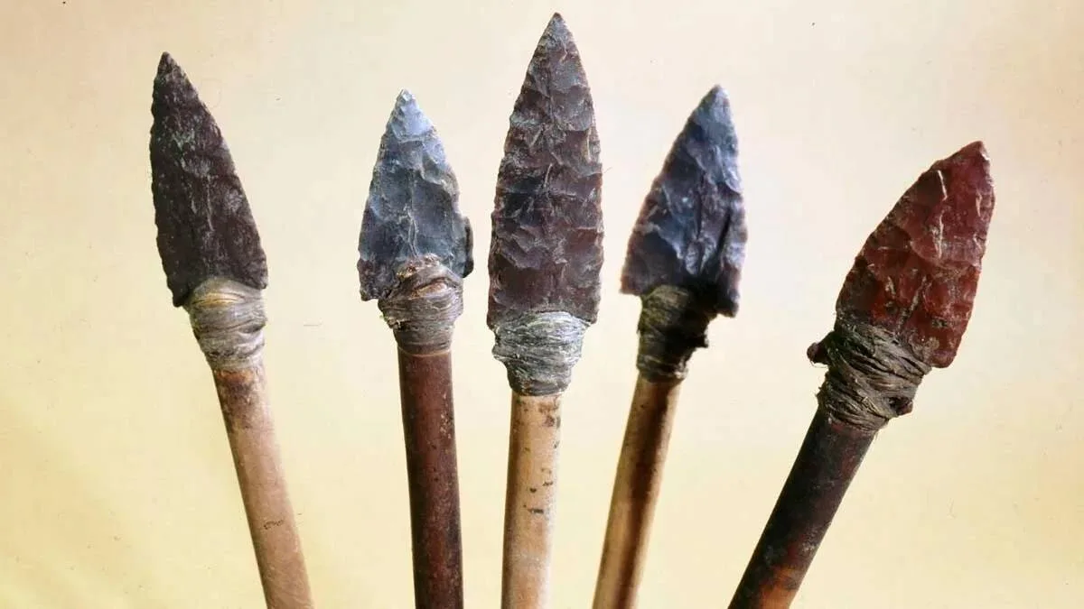 🏹 На Роза Хутор открылась выставка древнего оружия и быта