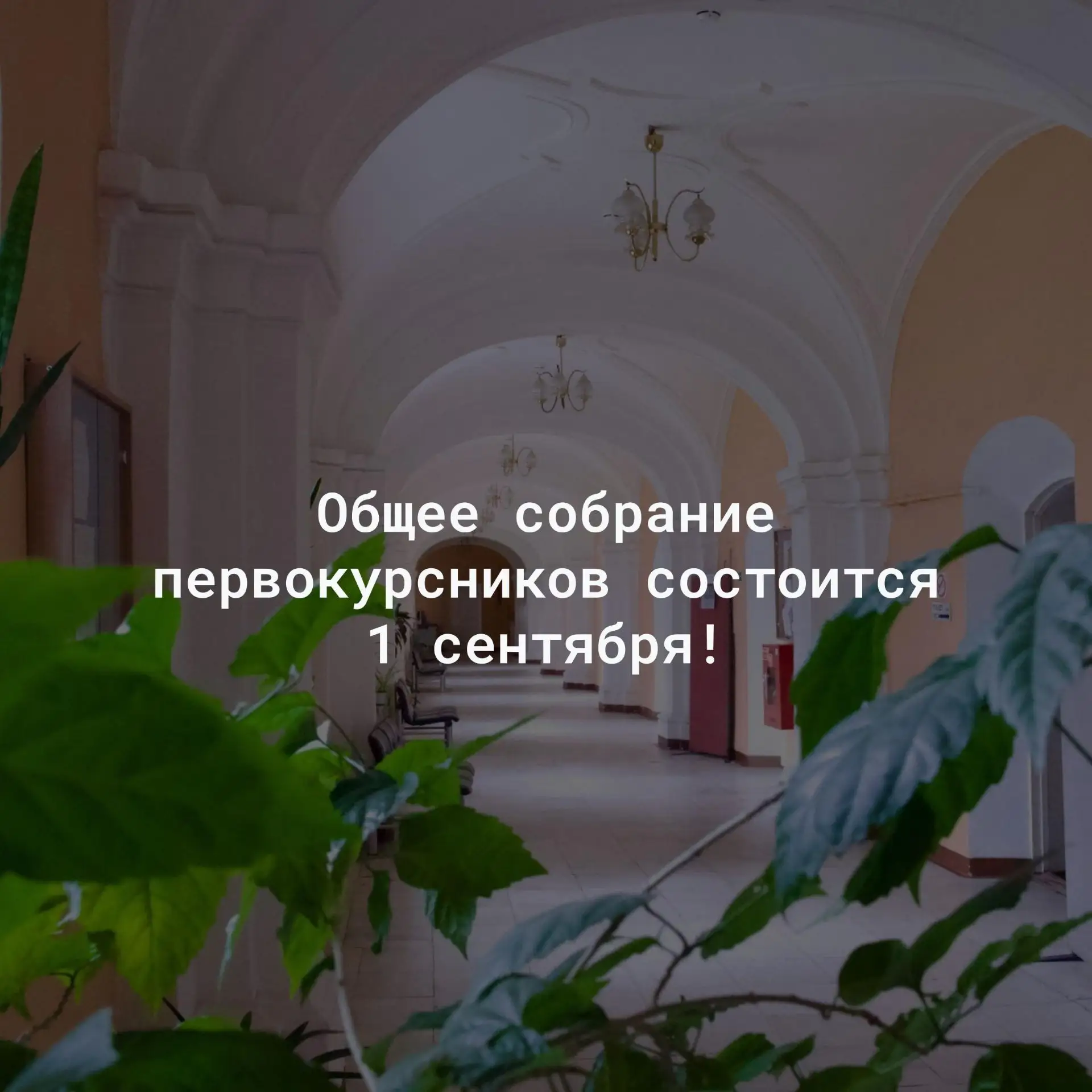 Дорогие первокурсники!