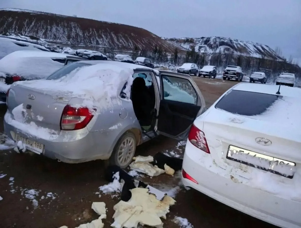 Медведь разгромил четыре автомобиля на парковке в Ивделе. Животное искало еду и нанесло...