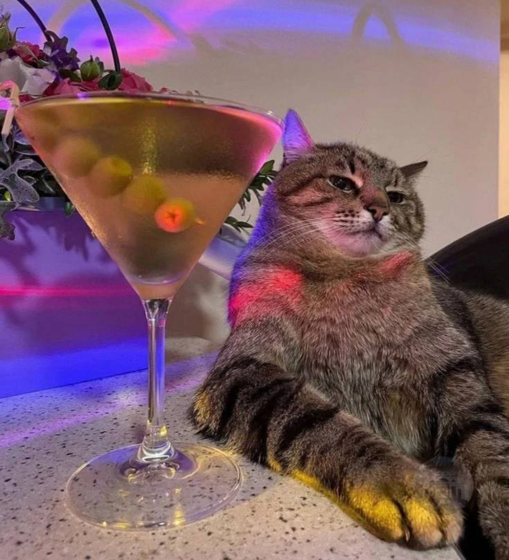 🍸День мартини отмечается сегодня.

Вы знаете, что делать.

🏝 |

Подписаться на нас