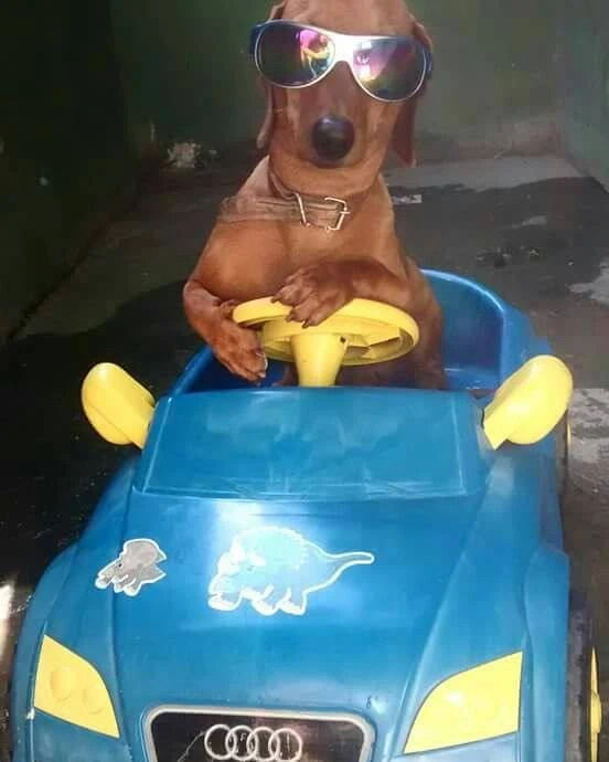 Дарим бензин читателям!