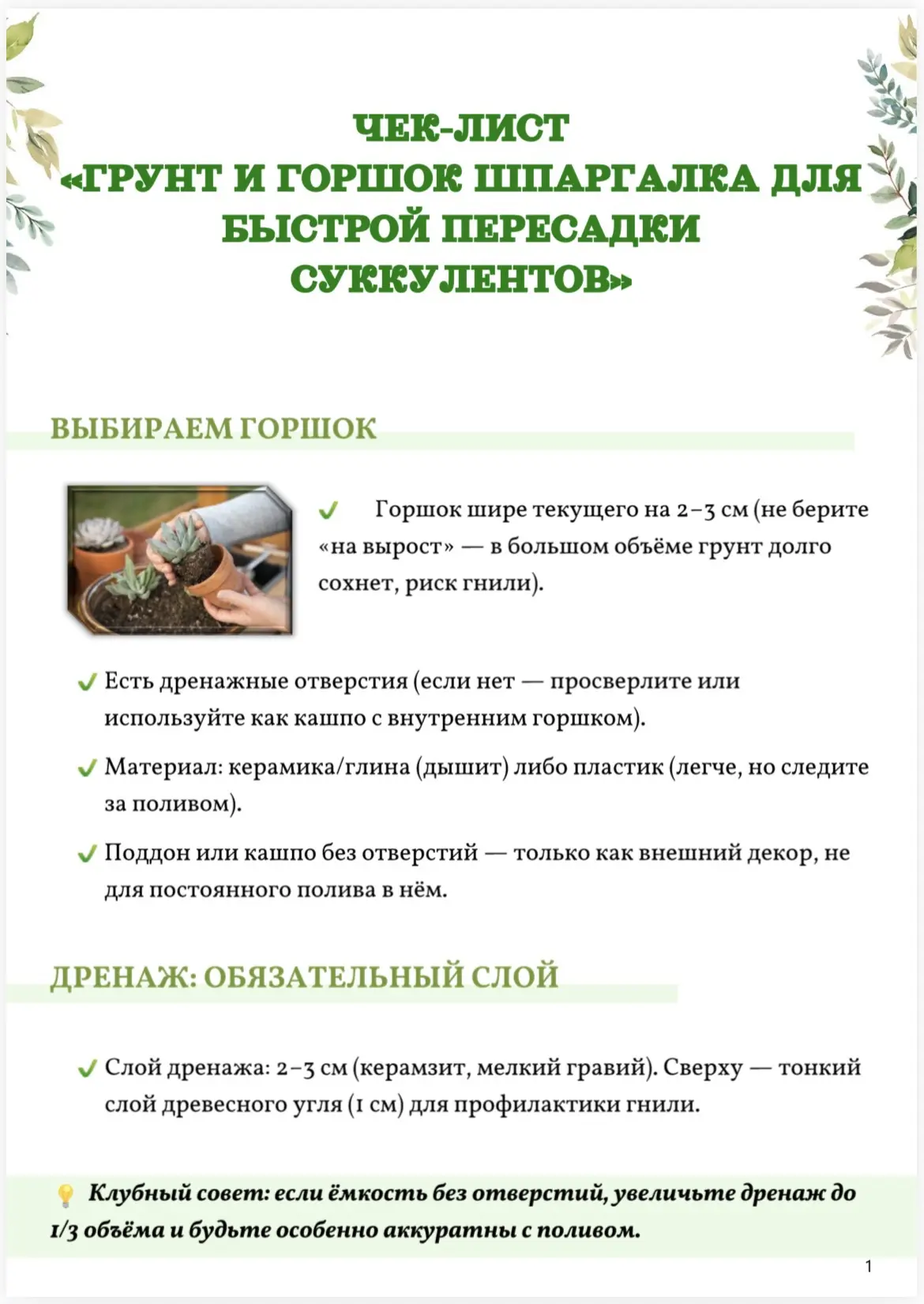 🍀Шпаргалка « Суккуленты»