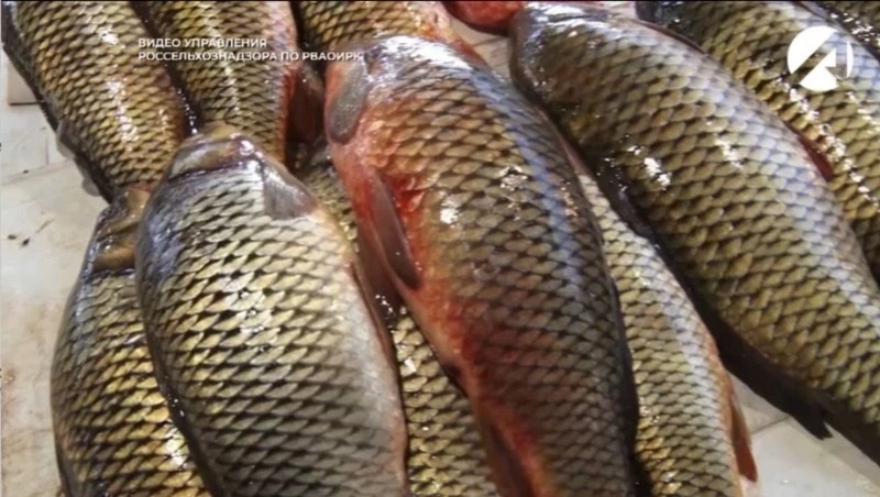 🐟 У астраханки изъяли 25 мешков рыбы без документов