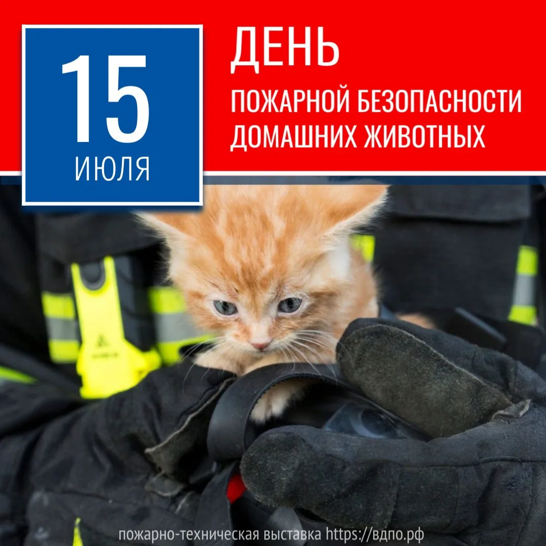 🐱 День пожарной безопасности домашних животных! 🐶
Сегодня мы хотим напомнить всем о важности безоп