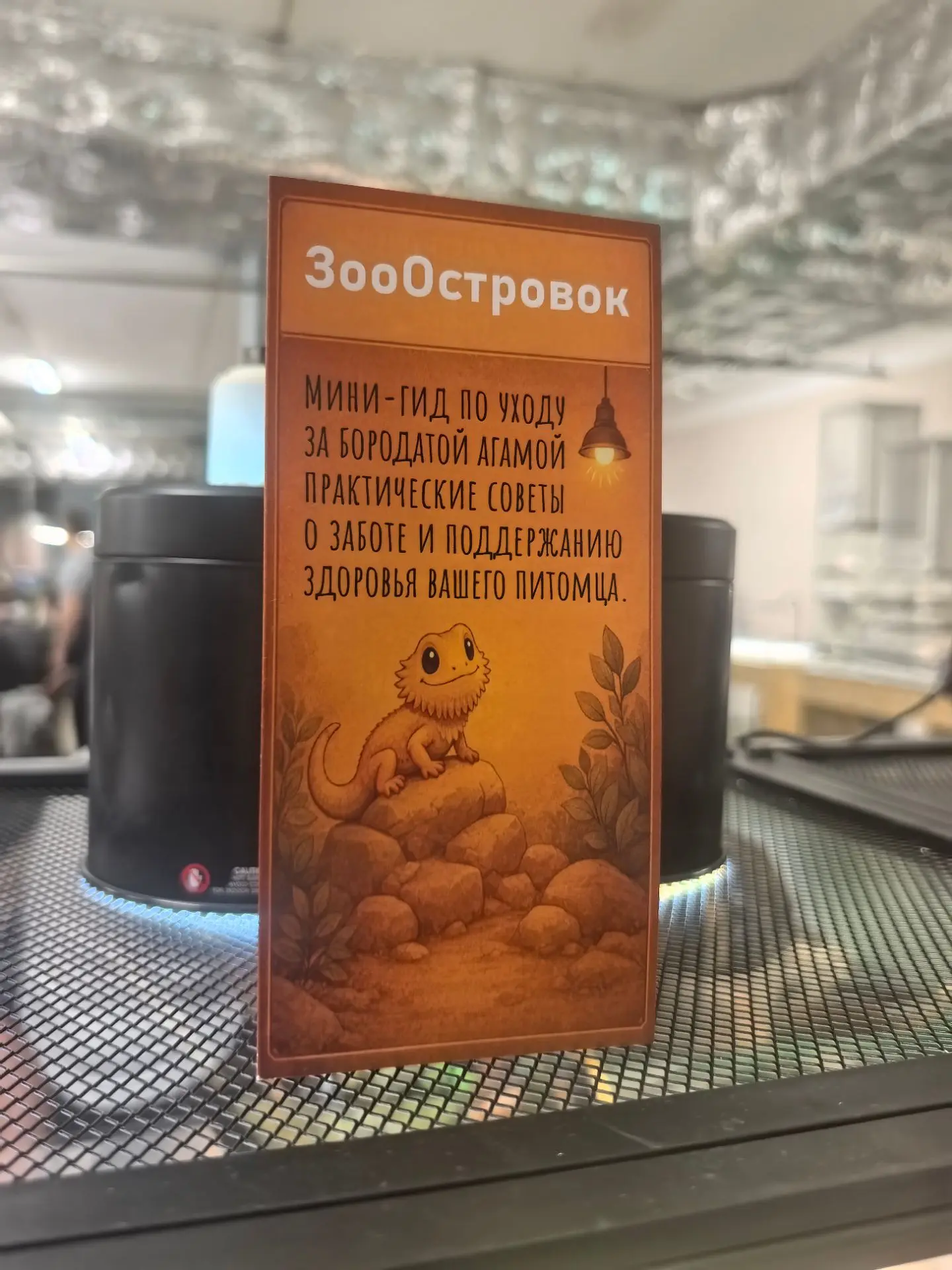 На выставке ❤️🦎❤️
