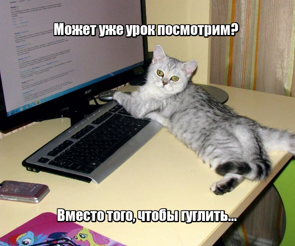 Закупка с неизвестным объемом: этапы убрали, но ошибки остались  С 2026 года в извещении больше не н